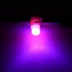 10PCS T4.2 Pink LED Dashboard Gauge Bulbs - 2W Instrument Panel Lamps - 6