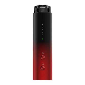 L3007 RF Beauty Instrument - Microcurrent Photon Skin Rejuvenation - 1
