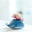 Whale Shaped Resin Animal Plant Flower Pot Decor Planter - 1