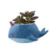 Whale Shaped Resin Animal Plant Flower Pot Decor Planter - 2