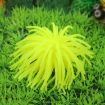 Simulation Sea Urchin Ball Coral, Small, 7cm, Yellow Aquarium Decor - 1