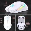 ONIKUMA CW905 Wireless Mouse 2.4G RGB Lighting Grey White - 6