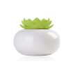 Lotus Ceramic Nano Spray Humidifier Air Purifier (Green Flower) - 2