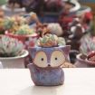 Ceramic Fox Succulent Thumb Pot, Random Color (No Plants) - 3
