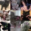 Silicone Cat Nail Caps - Soft Pet Paw Protectors, 20 PCS, Size S, Gray - 4