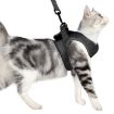 Grey Cat Leash Pet Chest Harness, Size L - 2