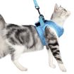 Sky Blue Cat Chest Harness and Leash, Size: L - 2