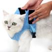 Sky Blue Cat Chest Harness and Leash, Size: L - 4