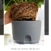 Transparent Double-Layer Water-Absorbing Flowerpot, 10.5cm Gray Basin - 4