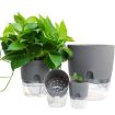 Transparent Double-Layer Water-Absorbing Flowerpot, 10.5cm Gray Basin - 6