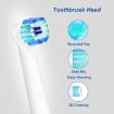 Oral-B Electric Toothbrush Replacement Heads - 2 Pack (Daily Clean) - 4