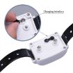 KD-661 500m Wireless Electric Dog Fence Collar for One Dog - 5