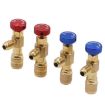 AC Fluoridation Safety Valve Refrigerant Connector (R22) - 3