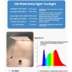 LED Quantum Board Plant Growth Light, UK Plug (Sunlight) - 3