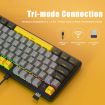 Ajazz K870T Pro 87 Key RGB Mechanical Keyboard Red Shaft (White) - 3