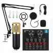 BM800+V8 Sound Card Set: Studio Condenser Mic for Singing - 1