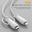 IPhone USB Type-C Data Line Protector Winder, White - 6