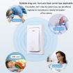 Flash Wireless Smart Doorbell, No Batteries, 2 For 1 Blue (US Plug) - 4