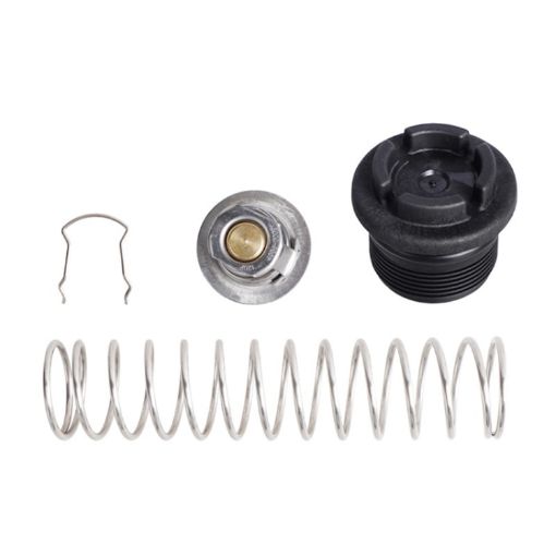 Pentair MasterTemp Sta Pool Spa Heater Regulator Kit (Silver) - 1