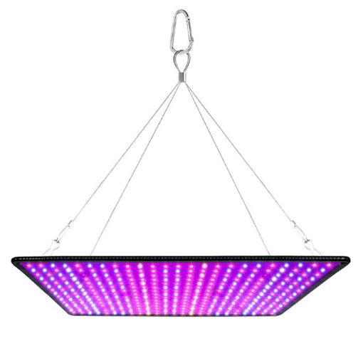 LED Quantum Board Grow Light, AU Plug, Full Spectrum for Plants - 1