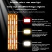 Three Head 12V Sunlight-Like LED Panel Plant Growth Light (AU Plug) - 5