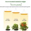 Quantum Board LED Plant Lamp with Reflective Aluminum Cover (EU Plug) - 5