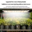 Quantum Board LED Indoor Plant Lamp, Model: Two Heads (AU Plug) - 4