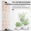 Quantum Board LED Indoor Plant Lamp, Model: Two Heads (AU Plug) - 6