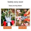 Agricultural Fruit & Flower Thinning Scissors - Pruning Tools - 4