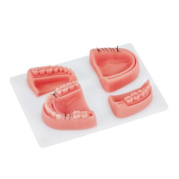Silicone Suture Practice Mold for Oral Surgery Training, Four Teeth - 1