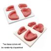 Silicone Suture Practice Mold for Oral Surgery Training, Four Teeth - 2