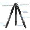 BEXIN RC334 Carbon Fiber Camera Tripod - Portable & Collapsible - 2