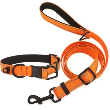 Orange Pet Reflective Collar with Black Buckle & 1.8m Leash, Size S - 1