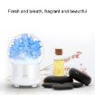 Gypsophila Flowers Aromatherapy Diffuser 100ML LED Humidifier Green - 4