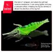 10 PCS 4cm Fluorescent Soft Shrimp Bait Lures with Hook - 4