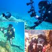 PULUZ Dual Handles Tray Stabilizer for Underwater Camera Housings - Black - 7