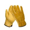 Motorcycle & Garden Safety Gloves - 2 Pairs, XL Riding & Labor Protection - 2
