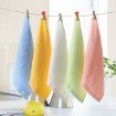 Wood Fiber Small Square Dish Towels, 2 PCS - Blue - 2