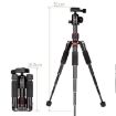 Xiletu FM5S-MINI 5-Section Folding Legs Mini Desktop Tripod (Black) - 5