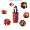 Hanging Strawberry Plant Bag, 13 Holes, 20x35cm, Black - 7