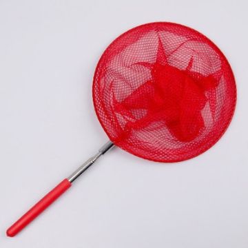 Kids Telescopic Fish & Insect Net - Stainless Steel, Random Color - 1