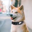 PUGGA GG1002 Dog GPS Collar for AirTag, Polyester, Size M, Blue - 6