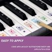 Children Piano Keyboard Stickers 5PCS - QT-0302 Musical Accessories - 4