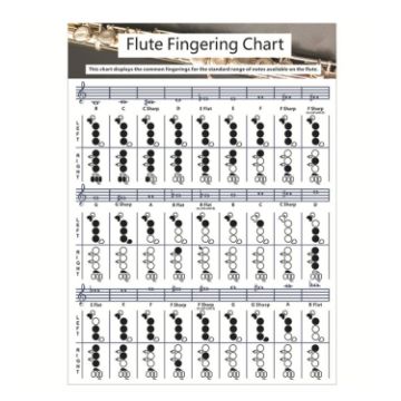 Small Coated Paper Flute Chord Fingering Practice Chart Staff - 1
