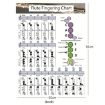Large Coated Paper Flute Chord Fingering Practice Chart Staff - 3