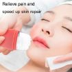 Face Ice Roller Massage Tray - 2pcs L-03-01 Silicone (Charm Purple) - 4
