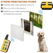 Remote Control Dog Trainer 800m Shock Vibration Collar (Khaki) - 8
