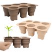 6 Holes Brown Silicone Folding Nursery Box for Plants & Flowers - 3