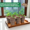 6 Holes Silicone Folding Nursery Box for Vegetables & Flowers, Skin Color - 2