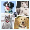 AirTag Pet Collar Locator Case - Waterproof Silicone, Deep Blue - 6